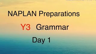 NAPLAN Preparations Year 3 Grammar Day 1  Key points for making plurals from nouns [upl. by Bacon]