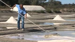 Le sel de mer de Noirmoutier des beurres Grand Fermage [upl. by Ranit]