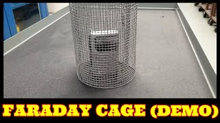 Faraday Cage Demo  Electromagnetic Shielding PhysicswithDrK [upl. by Notserp]