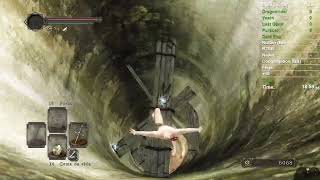 Dark Souls 2 Sotfs  Old Souls No Hit Run  14301 IGT [upl. by Schurman]