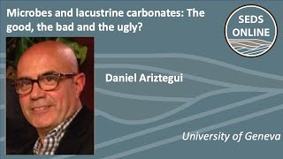 Microbes and lacustrine carbonates The good the bad and the ugly [upl. by Azeret]