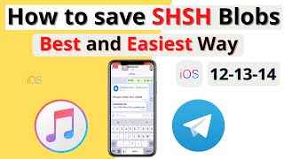 How to save SHSH Blobs ios 14 [upl. by Dukie]