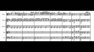 Hoffmeister Viola Concerto in D major 1 mov [upl. by Pippas]