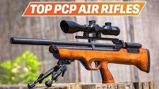 Best PCP Air Rifle 2024  The Only 4 You Should Consider Today [upl. by Markowitz]