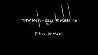 YNW Melly  223s ft 9lokknine 1 HOUR [upl. by Higginson]