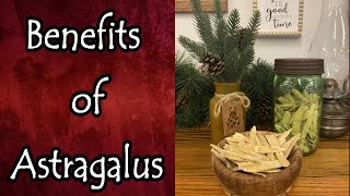 Benefits of Astragalus Root [upl. by Esihcoc]