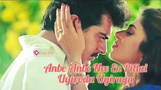 ANBE EN ANBE SONG LYRICS [upl. by Else568]