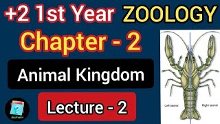 2 1st year zoology chapter 2 animal kingdom  animal kingdom lecture 2  methods of classification [upl. by Dane]