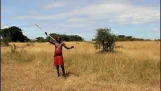 Cours de chasse Masai [upl. by Sheaff]