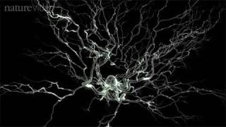 Method of the Year 2010 Optogenetics  by Nature Video [upl. by Sucy205]