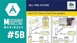 Week 5B CellFree Systems 13 Intro to CellFree systems advantages amp versus in vivo [upl. by Nhepets33]