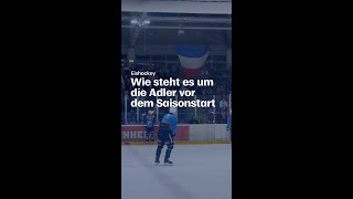 So steht es um die Adler Mannheim vor der Saison shorts [upl. by Nnylrefinnej]