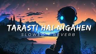 Tarasti hai nigahen lofi remix lofi slowed reverb aesthetic remix new version [upl. by Aelahc13]