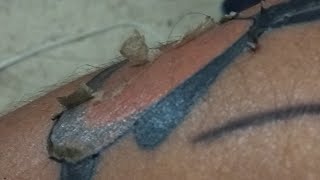 Cuidados básicos del tatuaje [upl. by Jit]