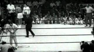 Kings of The Ring Rare Documentary [upl. by Alegnaed]