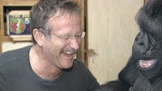 Kokos Tribute to Robin Williams [upl. by Nolitta292]