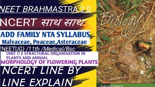 NCERT साथ साथ MALVACEAE  POACEAE  ASTERACEAE ADD FAMILY NTA SYLLABUS morphologyoffloweringplant [upl. by Oina]