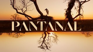 Pantanal a abertura da nova novela das 21h 🐆  TV Globo [upl. by Eveneg511]