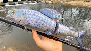 Making a Massive Grayling SwimBait [upl. by Tat284]