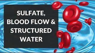 Sulfation EZ Water amp Red Blood Cells Maintaining Blood Flow [upl. by Delcine54]