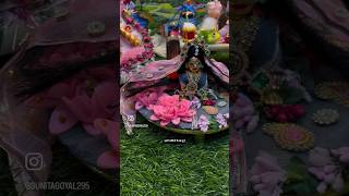 Radhe Krishna ðŸŽðŸ¥°ðŸ™ðŸŒºkrishnastatus shortsfeed shorts [upl. by Mcfadden138]