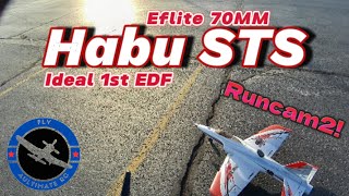 Eflite Habu STS 70MM Ideal 1st EDF for the Novice Pilot Plus Runcam2 Flight Video [upl. by Florence]