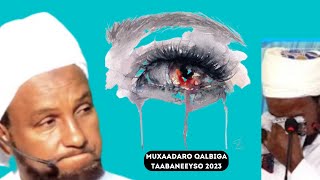 Muxaadaro Qalbiga Taabaneeyso 2023  Sheekh Xuseen Cali Jabuuti [upl. by Amalia]