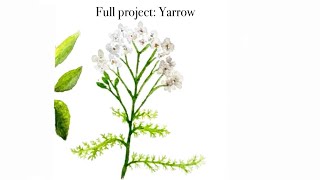 Full Project Yarrow [upl. by Ahserak]