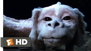 The Neverending Story 410 Movie CLIP  Falkor the Luck Dragon 1984 HD [upl. by Abdul]