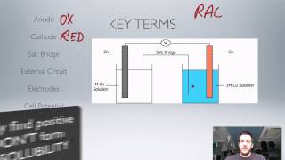 8 Electrochemical Cells [upl. by Janene]