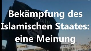 Bekämpfung des Islamischen Staates eine Meinung [upl. by Eaneg]