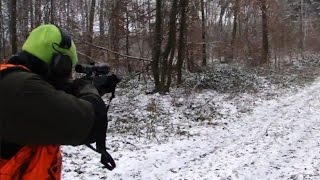 Polowanie zbiorowe  strzał do dzika  Vildsvinsjakt  Chassis Au Sanglier  Drückjagd [upl. by Annaihr]