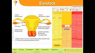 Eierstock und Hoden  HelmutPilharGHk [upl. by Ileek469]