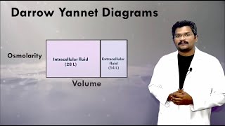 Darrow Yannet Diagrams Isotonic hypotonic and hypertonic saline solutions [upl. by Ahcsatan]