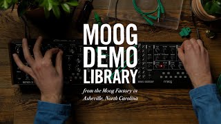 Moog Mavis  How to Integrate with Mother32 DFAM amp Subharmonicon [upl. by Rebna]