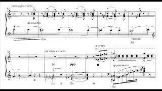 Franz Liszt Schlummerlied Im Grabe S195a [upl. by Costin]