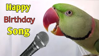 Parrot Singing and Dancing HAPPY BIRTHDAY SONG like a Human [upl. by Picardi310]