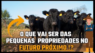 O QUE VAI SER DAS PEQUENAS PROPRIEDADES NO FUTURO PRÓXIMO [upl. by Dane]