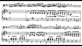 Hoffmeister  Viola Concerto in D 1st Mov piano accompaniment [upl. by Draper654]