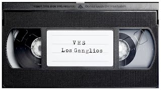 ✝ VHS ✝ Los Ganglios [upl. by Ryle]