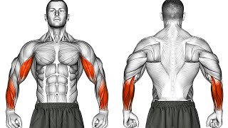 Dumbbell Arm Workout for Strong Biceps Forearms Wrists [upl. by Ahsitneuq]