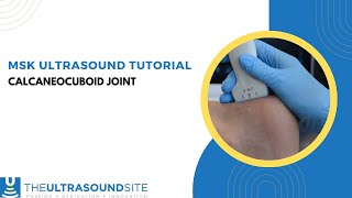 MSK ultrasound evaluation of the calcaneocuboid joint in the foot [upl. by Boar848]