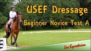 USEF Dressage  Beginner Novice Test A  Leo Equestrian [upl. by Ume]