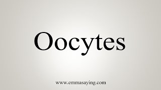 How To Say Oocytes [upl. by Eddie]