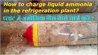 प्लांट में अमोनिया गैस कैसे चार्ज करें how to charge liquid ammonia in the refrigeration plant [upl. by Wilburn874]