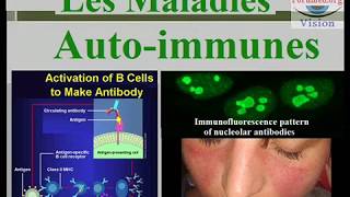 Les Maladies autoimmunes et les Vascularites [upl. by Chere674]