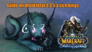 Гайд на ферала 335а PvEGuide on druid feral 335a a Lich Kings [upl. by Cas]