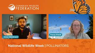 Pollinators with Tracey Etwell [upl. by Nedi612]