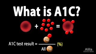 A1C Test for Diabetes Animation [upl. by Seroka410]