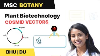 Cosmids  hybrid cloning vectors  Plant Biotechnology  BHU and DU MSc Entrance  In Hindi [upl. by Acker]